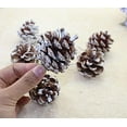 thumbnail image 3 of GHSDFBB Pine Cones Natural Pine Cones 1.97" Christmas Rustic Pine Cones Mini Pinecones Snow Hanging Pine Cones with String for Xmas Thanksgiving Fall Party Craft Decorations (24), 3 of 7