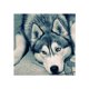 thumbnail image 1 of Bordado 5D DIY Lobo perro diamante de imitación pintura imagen diamante cristal dibujos animados Animal punto de cruz decoración regalo seitruly JJ14137-07, 1 of 6