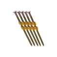 thumbnail image 2 of Grip Rite GR3011M 21deg Strip Round Head Bright Collated Framing Nails,3"x0.120", 2 of 6