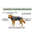 thumbnail image 4 of Traje de recuperación para perros iLVYA, talla mediana, gris, sin cono, para cicatrización, 4 of 9