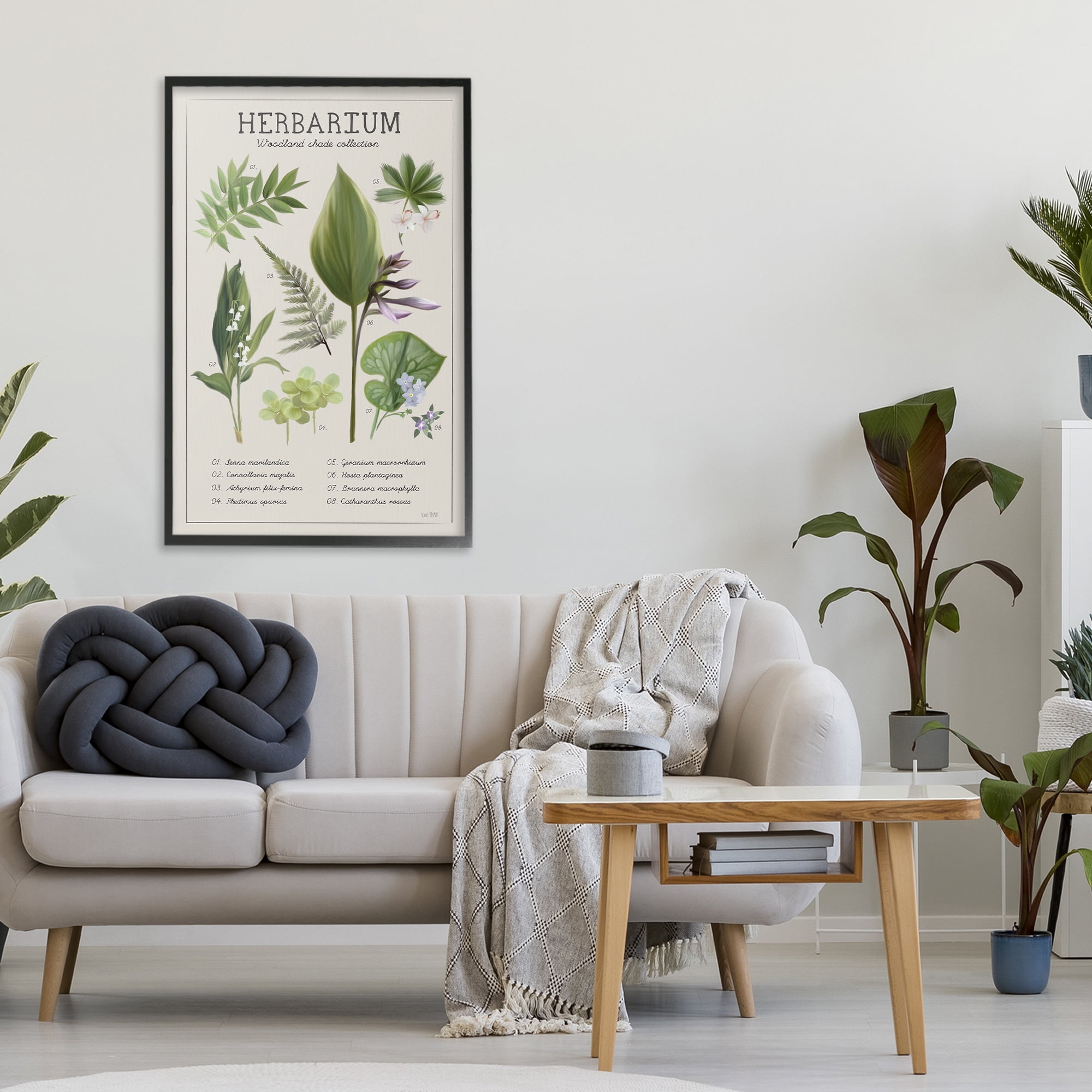 Stupell Industries Herbarium Woodland Shade Collection Black Framed Giclee Art, design by House Fenway