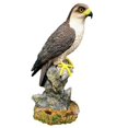 thumbnail image 1 of Falcon sur une Statuette de Roche, 1 of 1