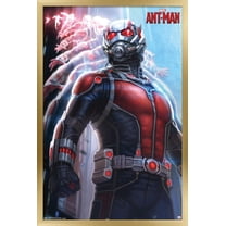 Marvel Cinematic Universe - Ant-Man - Lang Wall Poster, 22.375" x 34", Framed