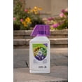 thumbnail image 7 of Roundup Weed and Grass Killer, 35.2 oz, 7 of 7
