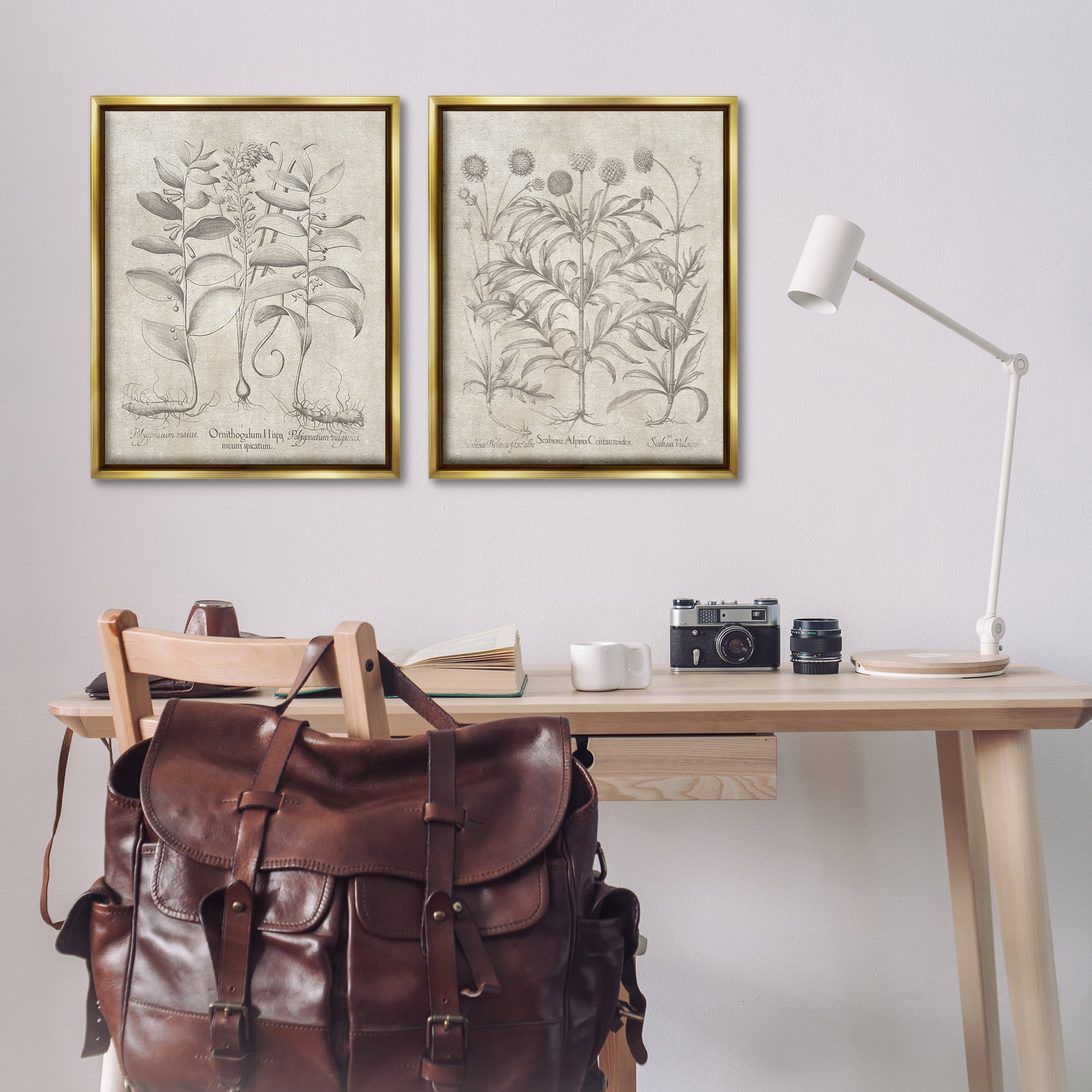 Stupell Industries Soft Botanical Study Plants & Flowers Painting Gold Floater Framed Canvas Art Print Wall Art, 31 x 25, Set of 2
