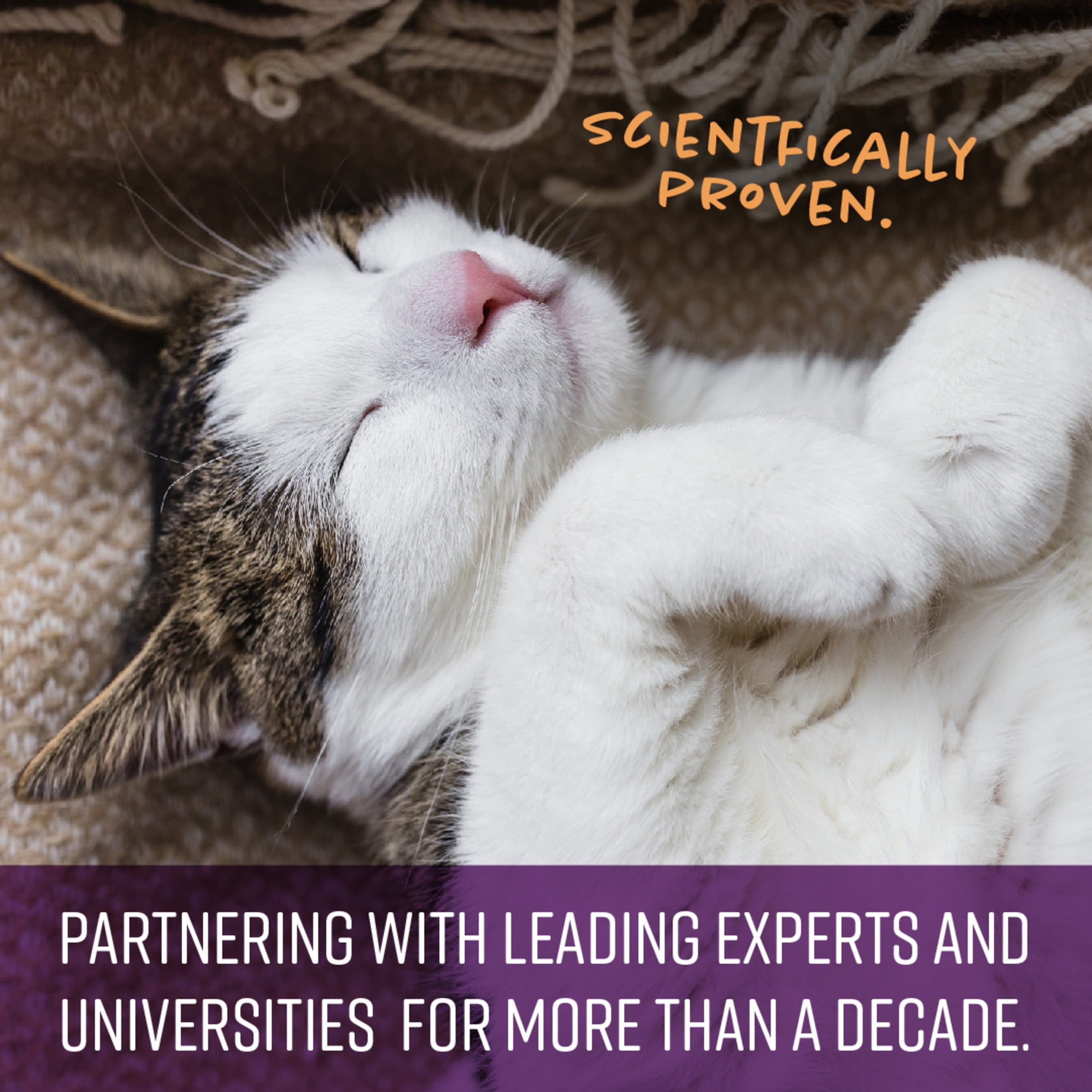 (2 pack) SENTRY Calming Chew for Cats