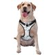 thumbnail image 1 of Balery Cute Shark Arnés para Perros Grandes Antitirones, Arnés con Correa para Gato, Arnés Tipo Chaleco para Perros Pequeños-X-Large, 1 of 6