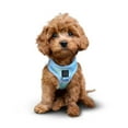 thumbnail image 2 of Dogistry - The Summer AIR Dog Harness - Ocean, 2 of 8
