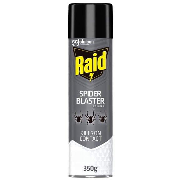 Raid Spider Blaster Insect Killer Spray, for Indoor and Outdoor Use, 350g