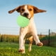 thumbnail image 3 of Pelota elástica segura para perros y mascotas, juguete de goma para entrenamiento de dientes molares, juego interactivo, 3 of 8