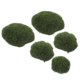 thumbnail image 1 of EXHUMKY 4Ud Decorativas De Musgo Falso Para Jardinería Con Aspecto Natural Y Sin Mantenimiento, 1 of 7