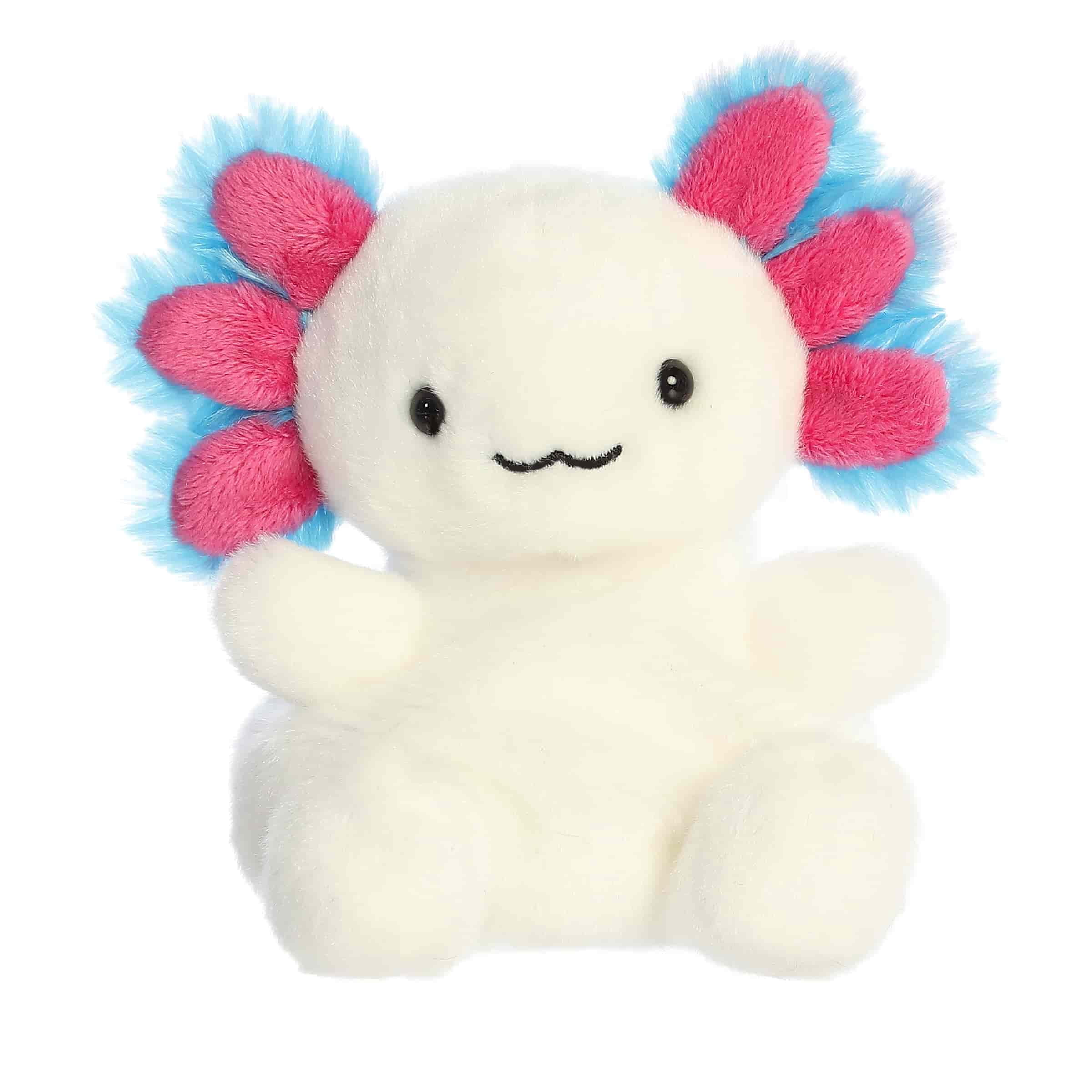 Aurora - Mini Black Palm Pals - 5