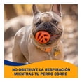 thumbnail image 4 of Pelota mediana Chuckit Air Fetch Para perro 2 piezas, 4 of 4