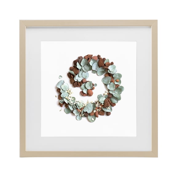 Stupell Industries Eucalyptus & Pebbles Spiral Birch Framed Print Under Glass, design by Beth Adoette