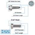 thumbnail image 2 of HPP Stainless Steel License Plate Screws Compatible with Hyundai and KIA Models, 2 of 4