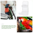 thumbnail image 5 of Pet Bird Water Feeder Parrot Dispenser Automatic for Cage Waterer Drinking Glasses Food Bottle Pigeon Drinker, 5 of 6