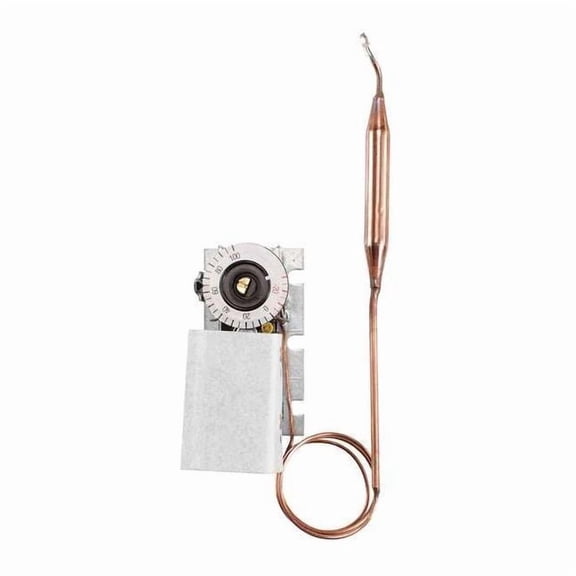 Johnson Controls A19AGC-77C Line Volt Mechanical Thermostat, 120 to 277 VAC CA2