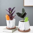 thumbnail image 4 of Self Watering Spike Planter Drip Irrigation Terracotta Moist Roots for Plant Healthier, 4 of 4