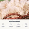 thumbnail image 3 of Delara 3-in-1 Adjustable New Zealand Wool Pillow - GOTS Certified Organic Cotton Shell, 200 GSM Wool Quilted Cover, Baffle Box, Side/Back/Stomach Sleepers, Spine-Alignment Friendly - Queen 20"×30", 3 of 8