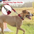 thumbnail image 3 of azuza Dog Collar and Leash Set Nylon Collar Leash for Small Medium and Large Dogs, 3 of 11