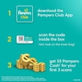 thumbnail image 4 of Pampers Baby Dry - Pa&ntilde;ales Etapa 5, 132 Piezas. Para beb&eacute;s de 12+ Kg. Pampers NA, 4 of 10