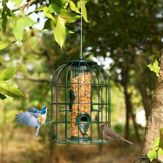 Delightful Springtime Hanging Seed Bird Feeder w/ Squirrel Cage Deterrent 