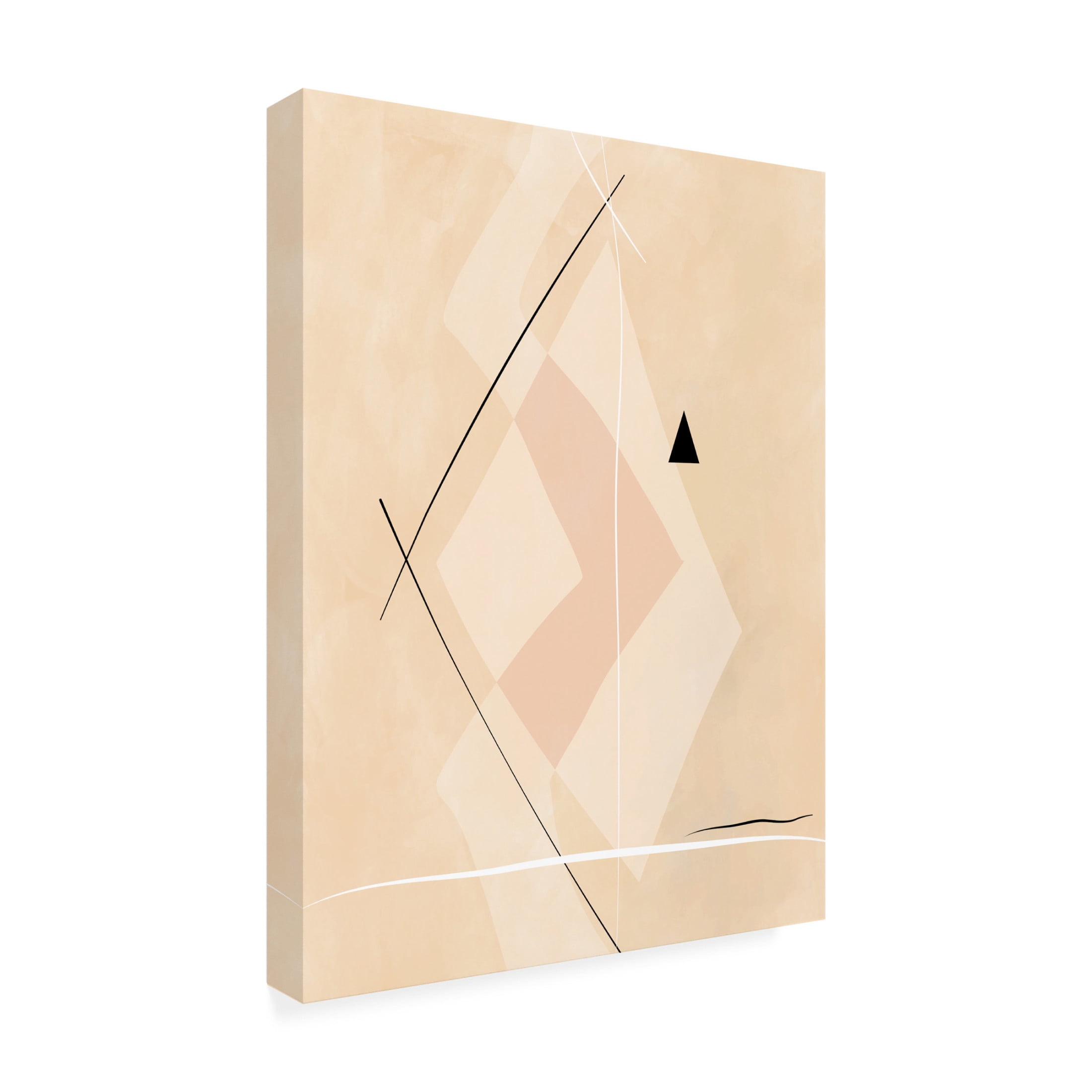Trademark Fine Art Elena Ristova softpink18 Canvas Wall Art