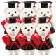 thumbnail image 4 of 6 ositos de graduación premium multiusos (negro y rojo), 4 of 6