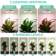 thumbnail image 4 of Grow Light LORDEM 10 LED de espectro completo de 160 LED para plantas de interior, 4 of 7