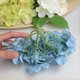 thumbnail image 2 of Hortensia azul de seda, flexible, lavable y limpiable para centros de mesa de boda, ramos de bricolaje, plástico, 2 of 3
