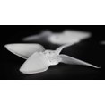 thumbnail image 6 of 12pcs EMAX Avan Micro 2-Inch 4-Blade Propellers (6x CW / 6x CCW), 6 of 7