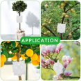 thumbnail image 3 of 10PCS Plant Root Cultivation Box, Sturdy Structure, Secure Lock, Lightweight Portable, Compatible with Various Plants, 3 of 4