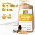 Ancient Grains Khorasan Wheat Berries, 100 Organic Berries, Premium