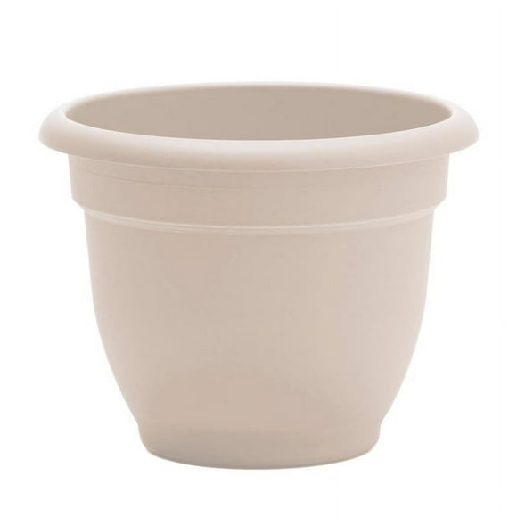 PLNTR PLSTC CRM 12 Pouces(Lot de 1)