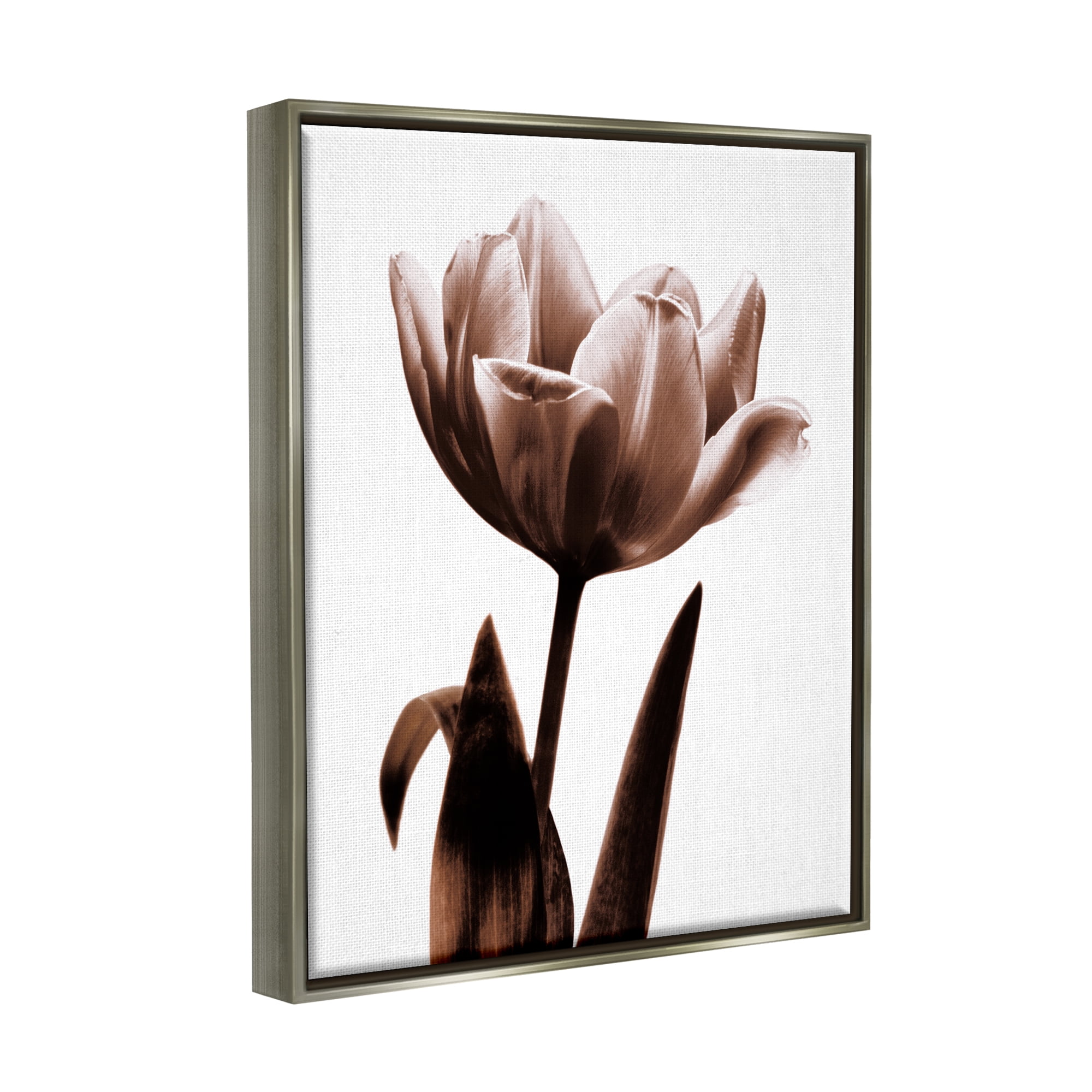 Stupell Industries Modern Tulip on White Botanical & Floral Photography Gray Floater Framed Art Print Wall Art, 25 x 31
