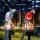 thumbnail image 2 of Monstrate Resina PP Solar Garden Light Simulación decorativa IP65 Impermeable alimentada Cute Outdoor Lawn Park Yard Ground Lamp Iluminación y accesorios Azul Monstrate HA073093-01, 2 of 6