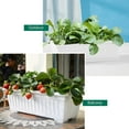 thumbnail image 2 of Trianu 3 Pack Rectangle Planters for Indoor Plants, Large Vegetable Flower Herb Window Boxes, Plastic Growing Pots with Tray for House Windowsill Balcony Garden, White, 2 of 7