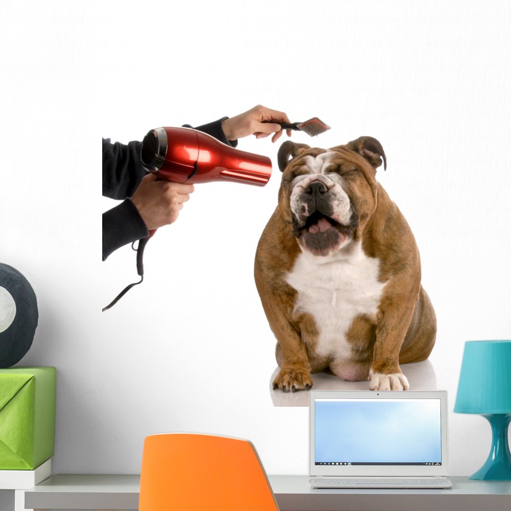 Dog Grooming Wall Decal by Wallmonkeys Peel and Stick Graphic (24 in W