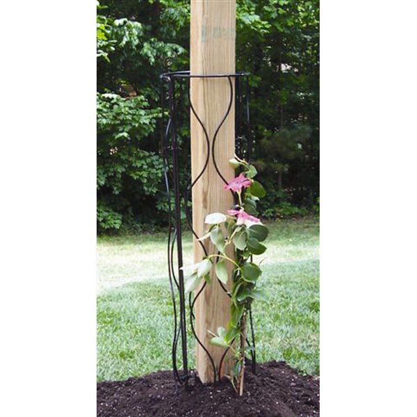Wren 30" Mailbox Tube Trellis