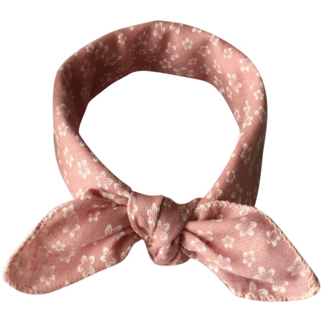 Bandana pour Animaux de Compagnie Mode Joli Mouchoir pour Chiots Chatons