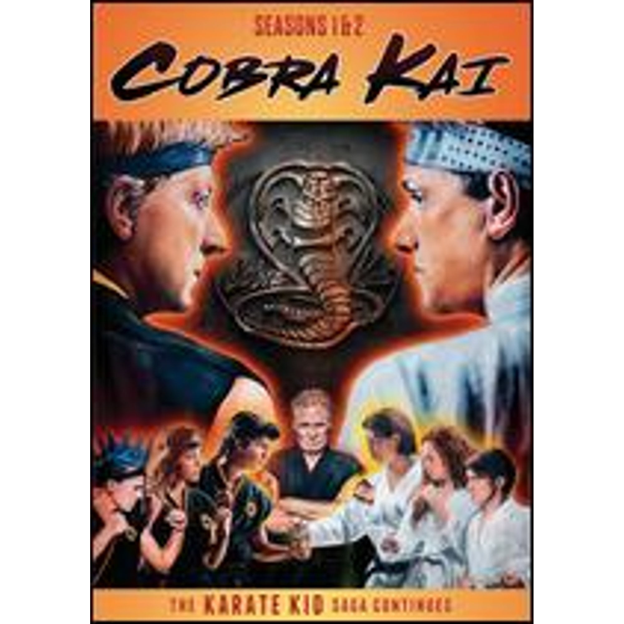 Sony Pictures Cobra Kai Complete Series: Seasons 1 & 2 DVD