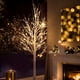 thumbnail image 2 of Lámpara de pie LED con forma de árbol de abedul en tamaños de 121.92cm, 152.4cm y 182.88cm, un árbol de abedul artificial adornado con luces, ideal para decoración del hogar, bodas,, 2 of 18