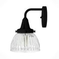 thumbnail image 6 of Hunter - Cypress Grove 1-light Natural Black Iron, Medium Size Sconce Light, Dimmable, Transitional Style, for Bedrooms, Dining, Living Rooms - 19253, 6 of 8