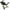 Black, variant on Wave Style Door Handle With Lock And Key For Bedroom Bathroom And Living Room Quiet Operation Three Rod Lock Interior Door Hardware Matte Black