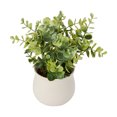 thumbnail image 4 of Eucalyptus artificiel Anko en pot, 4 of 6