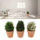 thumbnail image 1 of Planta Falsa De Interior, Plantas Artificiales En Maceta, 3 Piezas, Simulación Altamente Realista Respetuosa Con El Medio Ambiente Para El Hogar, 1 of 7