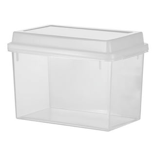  Buddeez Bread Buddy Bread Box – Bread Container for Storage in  Kitchen Counter, Sandwich Bread Holder, Saver & Keeper, Bread Bin for  Countertop, White Lid, (2 Pack): Home & Kitchen