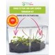 thumbnail image 2 of Set de plantas carnívoras Nature Gift Store Venus atrapamoscas y drosera, 2 of 7