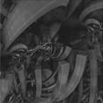 thumbnail image 1 of Ahgly Tapis d'Intérieur Lavable en Machine Carré Gris Carbone, 6 Pieds Carré, 1 of 7