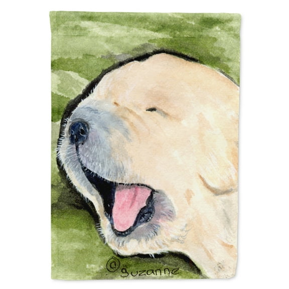 Caroline's Treasures SS8717-FLAG-PARENT Golden Retriever Flag, , multicolor